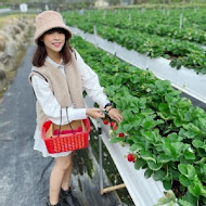 大湖 紅色琉璃瓦草莓園 ＆ SUHU Café 舒服生活