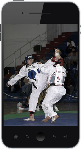 Taekwondo