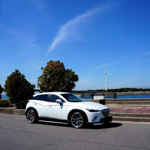 CX-3 DKEFW