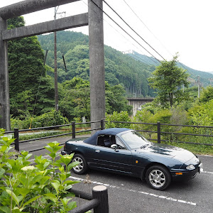 ロードスター NA8C