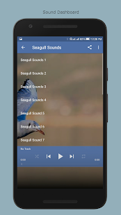 Seagull Sounds(圖2)-速報App