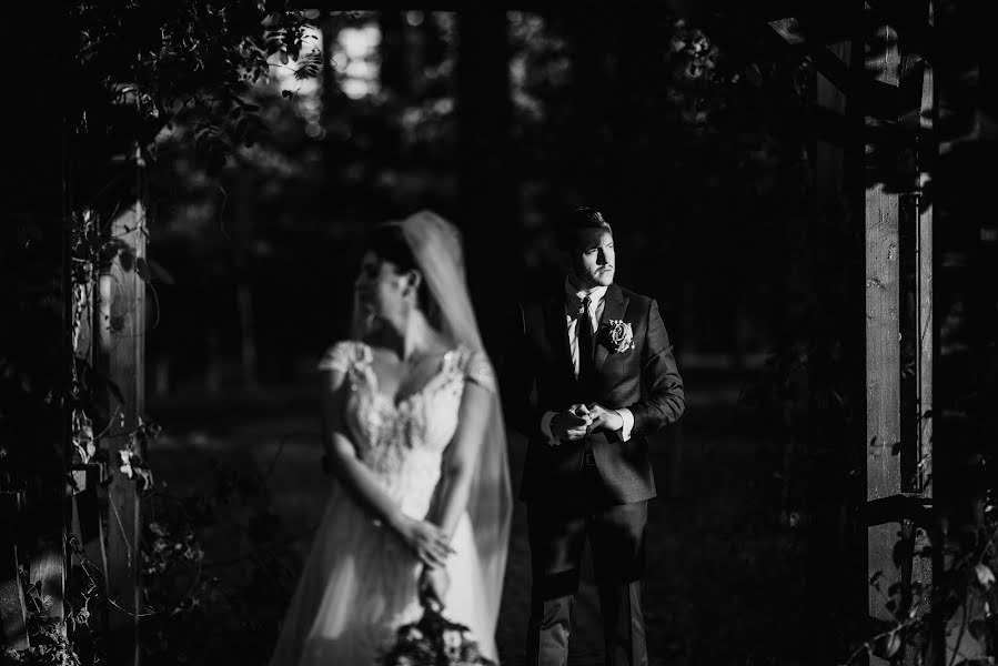 Fotógrafo de casamento Lupascu Alexandru (lupascuphoto). Foto de 20 de dezembro 2018