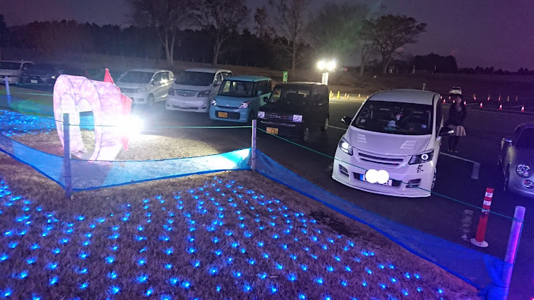フリードの東京ドイツ村・イルミネーションに関するカスタム事例の投稿画像6枚目