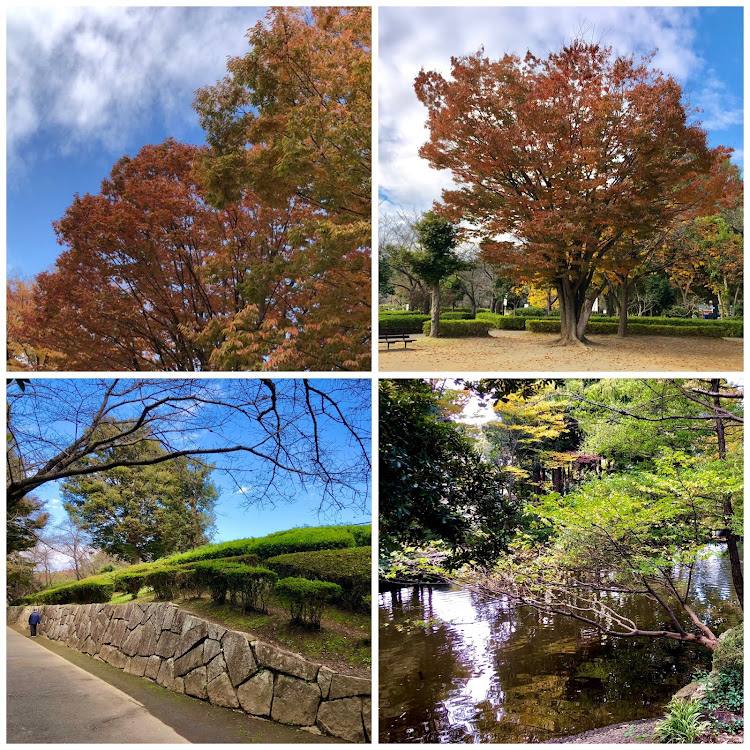 KA9RLさんが投稿したエッセと愉快な仲間たち・TEAMおっさんずラフ・上尾丸山公園・ランチタイム・娘娘に関するカスタム事例の投稿画像3枚目