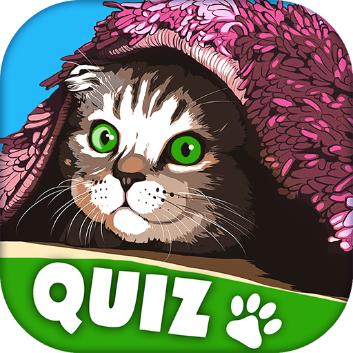 Тест про котов. Quiz Cat. Кошка и квиз рисунок.