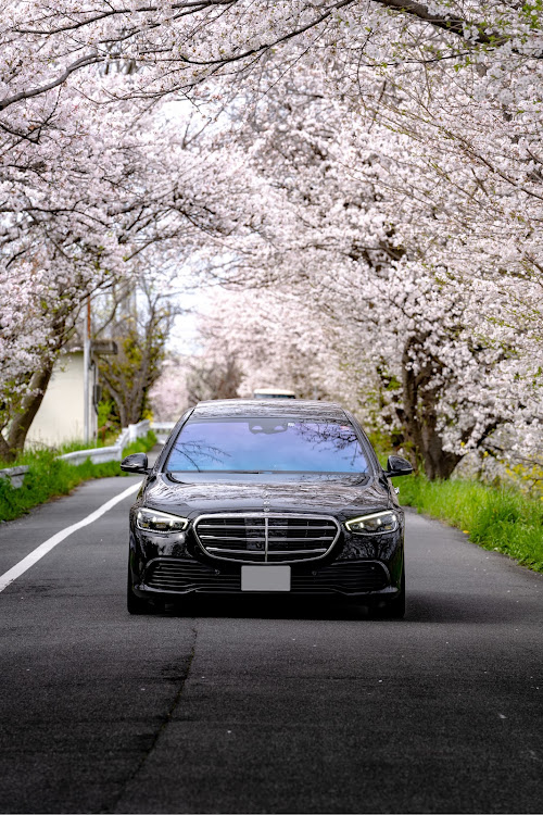 ゆうさんが投稿したSクラスセダン・撮影依頼募集中・桜・ベンツS500に関するカスタム事例の投稿画像1枚目