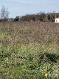 terrain à Bois (17)