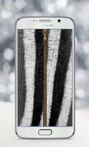 Zebra Zipper Lock Screen