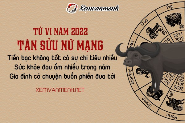 tu-vi-tuoi-tan-suu-nam-2022-nu-mang-1961