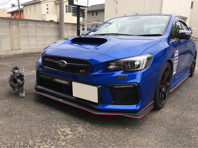 YR-Advance WRX(VAB) オイルレベルゲージフック 通販