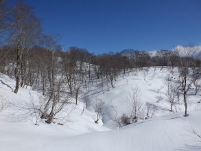 高低差の少ない場所に