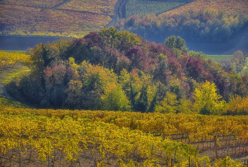 Tavolozza d'Autunno di mill