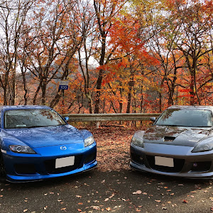 RX-8 SE3P