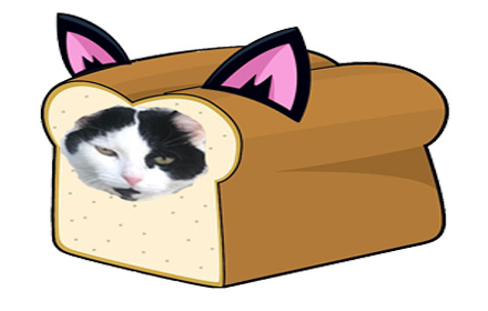 Catloaf, where are we? Preview image 0