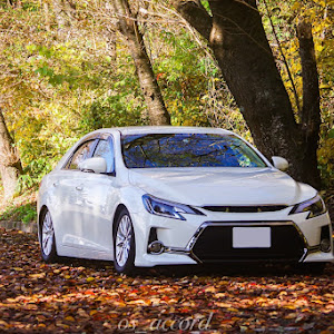 マークX GRX130