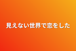 見えない世界で恋をした