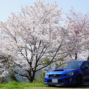 WRX STI VAB