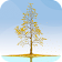 Ginkgo Tree Live Wallpaper icon