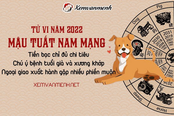 tu-vi-tuoi-mau-tuat-nam-2022-nam-mang-1958