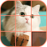 Cover Image of ดาวน์โหลด Cute Kittens Puzzle 1.0.3.0911 APK