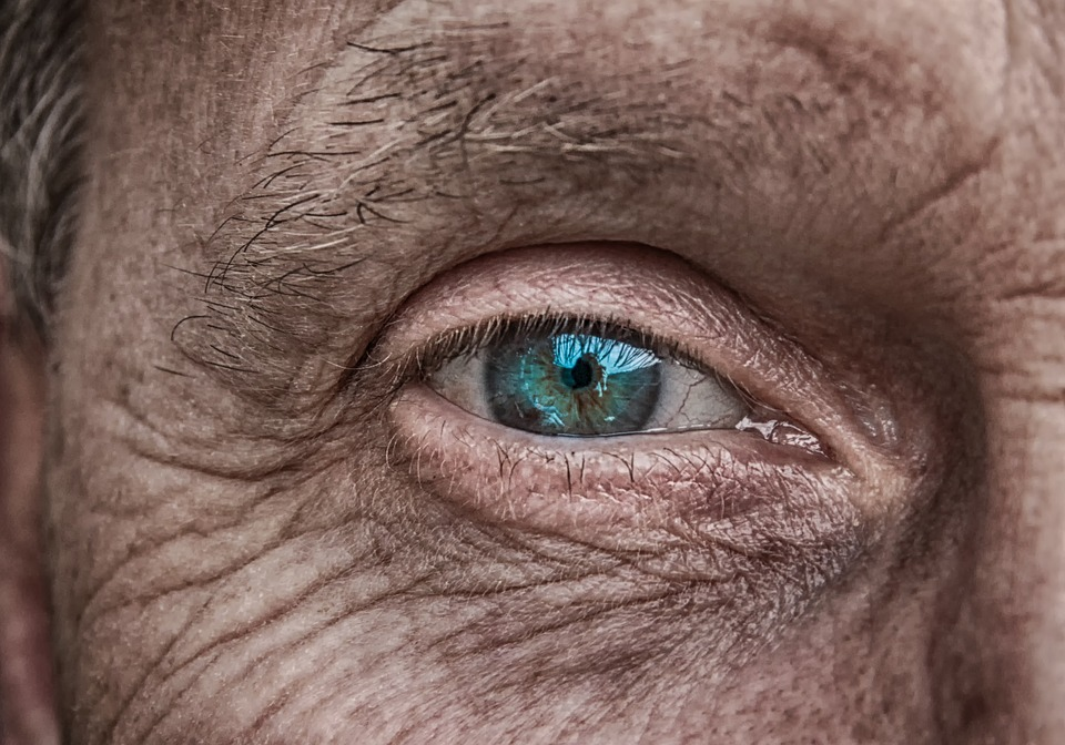 close up image of an eye