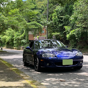 ロードスター NB6C