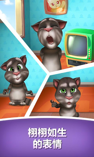 免費下載休閒APP|我的汤姆猫 (My Talking Tom) app開箱文|APP開箱王