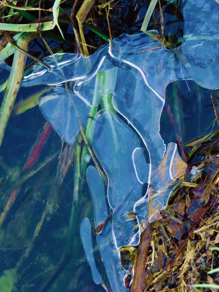 ghiaccio acqua e riflessi di mariellaturlon