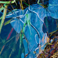 ghiaccio acqua e riflessi di mariellaturlon