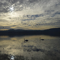 Lago di Varese di 