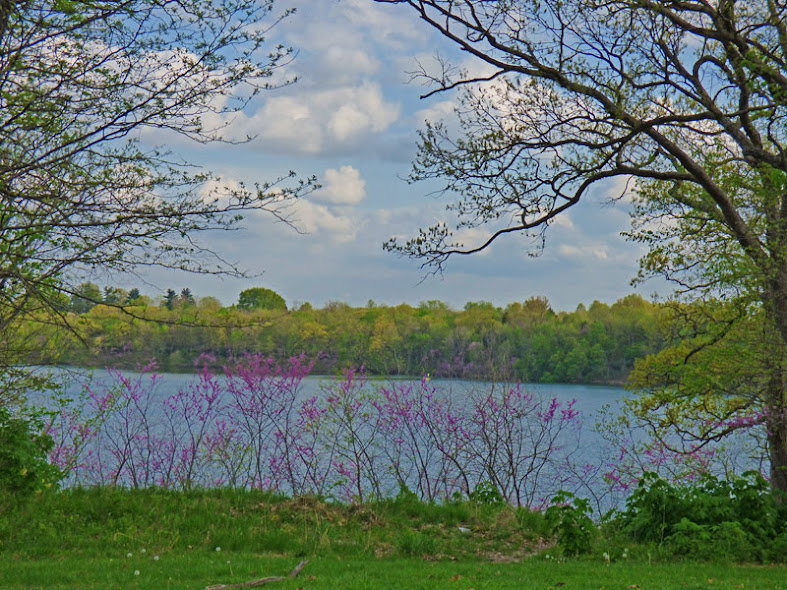 Blue Springs Lake,  Lee's Summit, MO