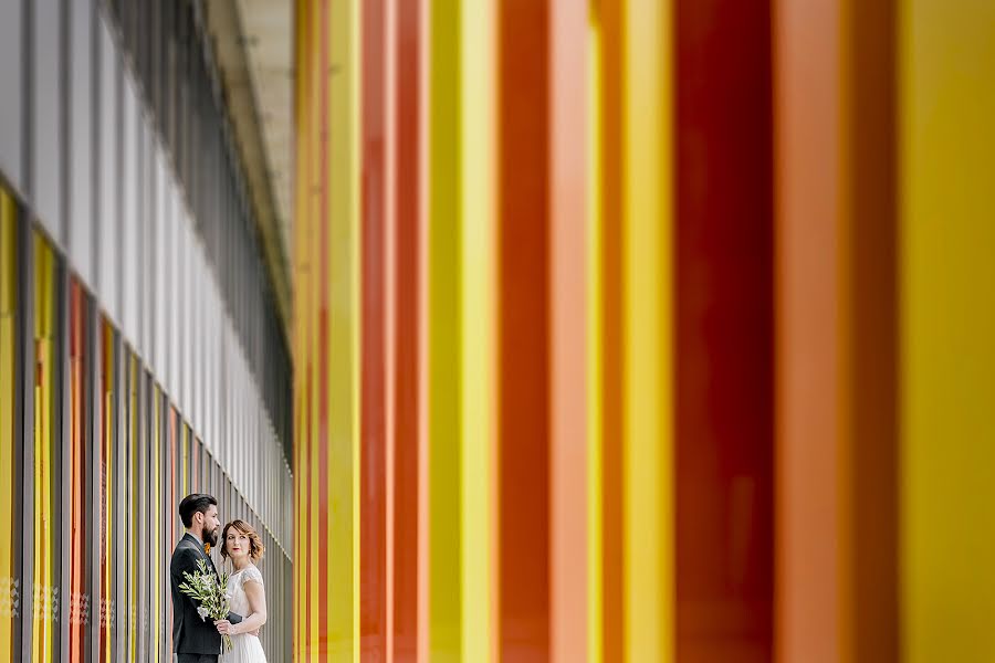 Fotógrafo de bodas Ferran Mallol (mallol). Foto del 17 de mayo 2019