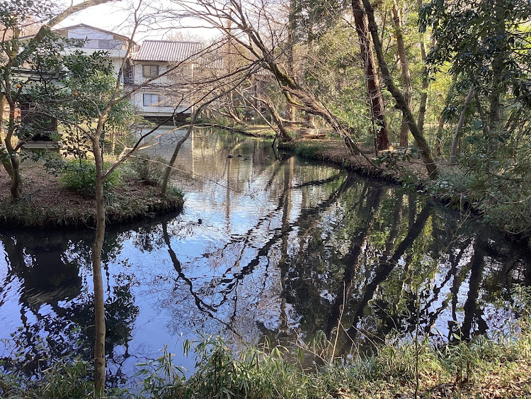 の投稿画像116枚目