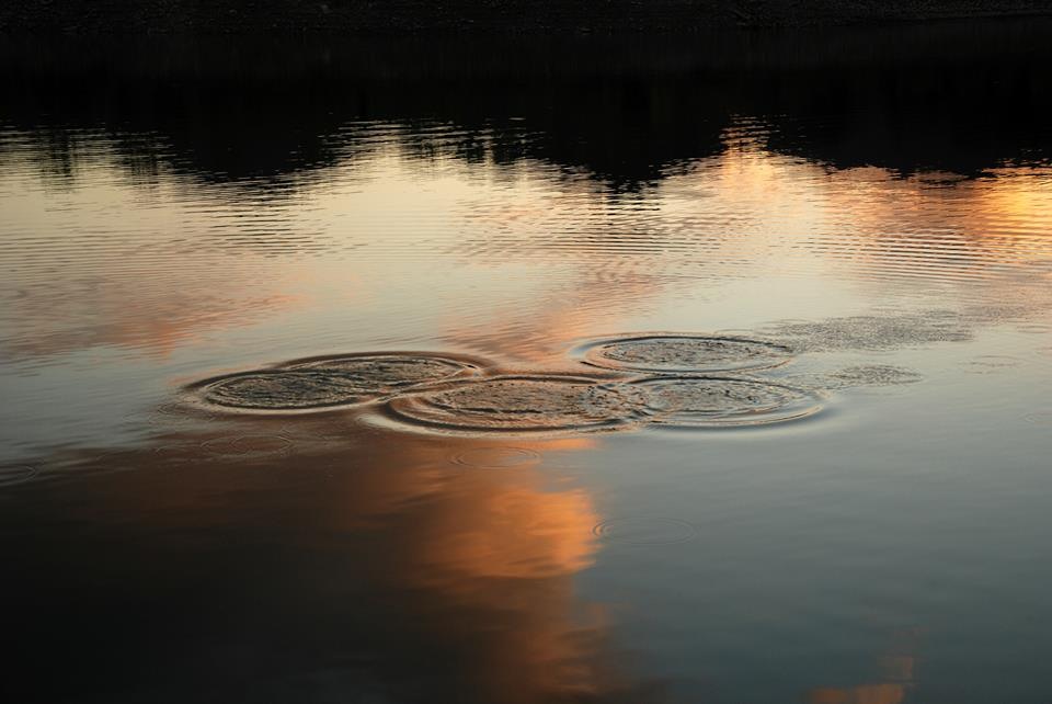 5 cerchi d'acqua di beatrice_maccelli