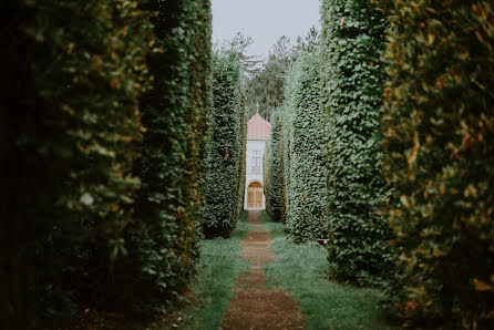 Wedding photographer Elena Šenková (elliphoto). Photo of 21 April 2023