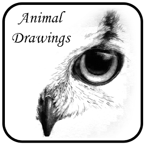 Animal Drawings.apk 1.0