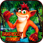 Cover Image of ดาวน์โหลด Bandicoot Runner 1.0 APK