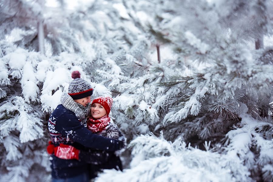 Wedding photographer Anastasiya Beloglazova (abeloglazova). Photo of 2 February 2015