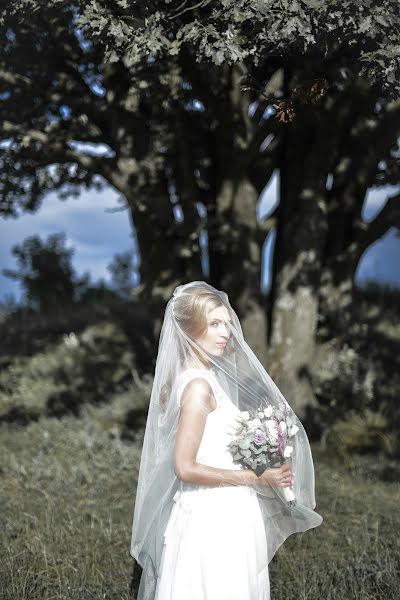 Wedding photographer Alina Knyazeva (alinaigorevna). Photo of 5 August 2016