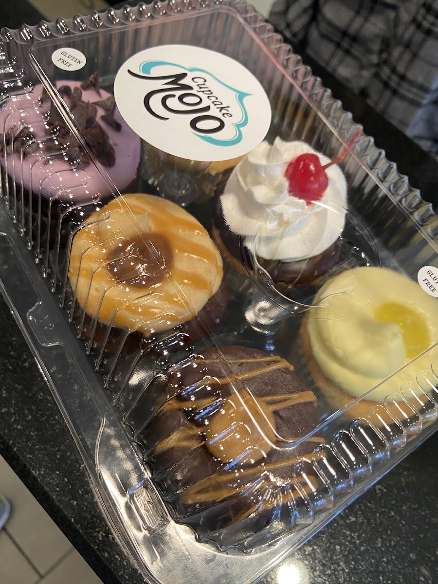 Gluten-Free Cupcakes at Cupcake Mojo