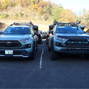 RAV4 MXAA54