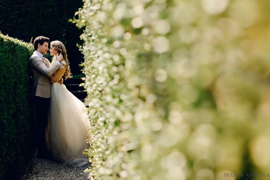 Fotógrafo de casamento Marin Avrora (marinavrora). Foto de 4 de abril 2018