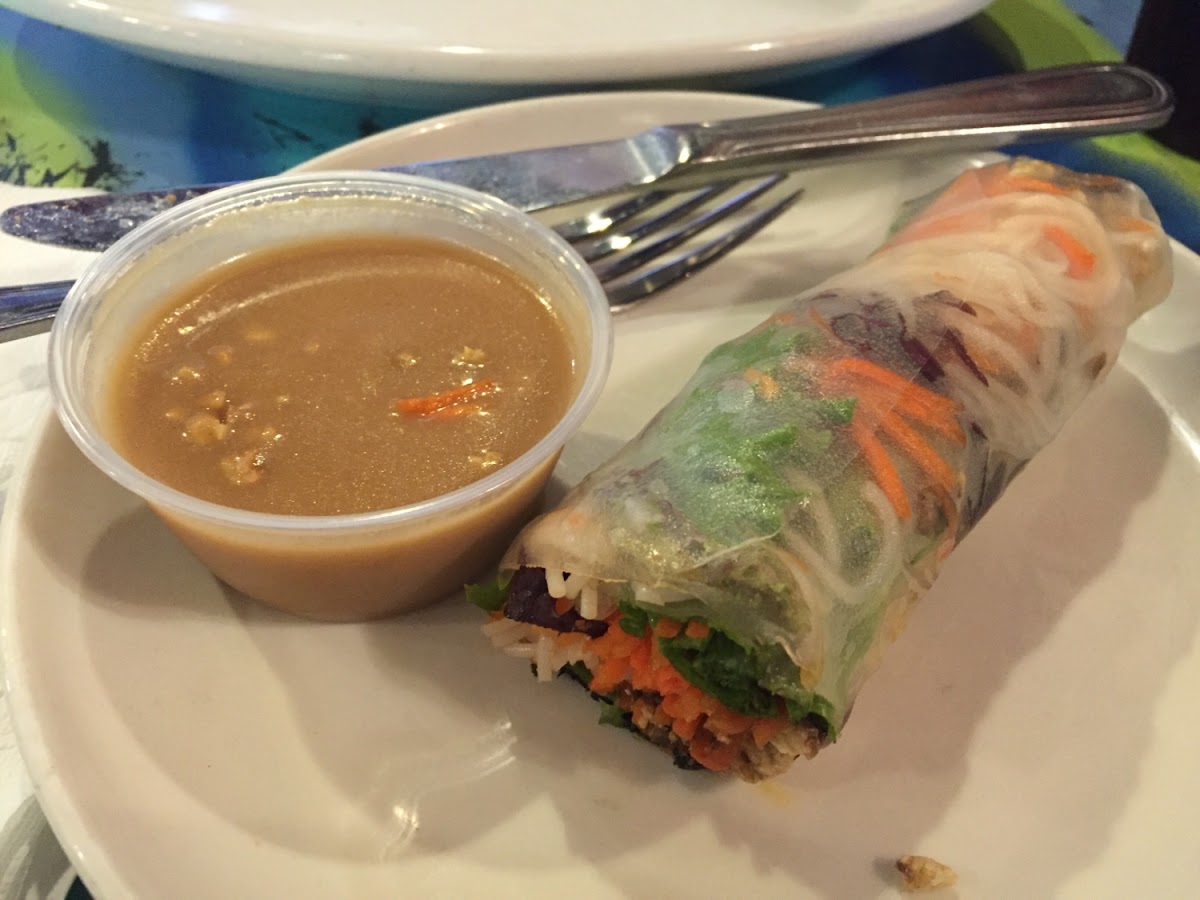 Spring roll...you are served two so I recommend either getting it as a meal or splitting with someone. It comes with a peanut sauce. It is all very tasty!