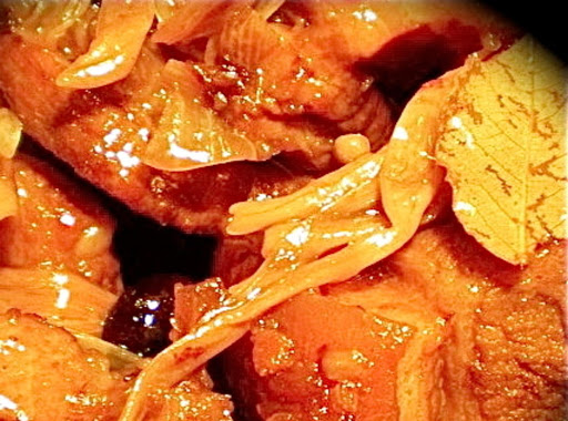 Braised Pork belly ( Humba ) 