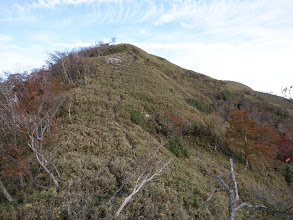 踏み跡はある