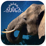 Real Elephant SimulationGame3D Apk