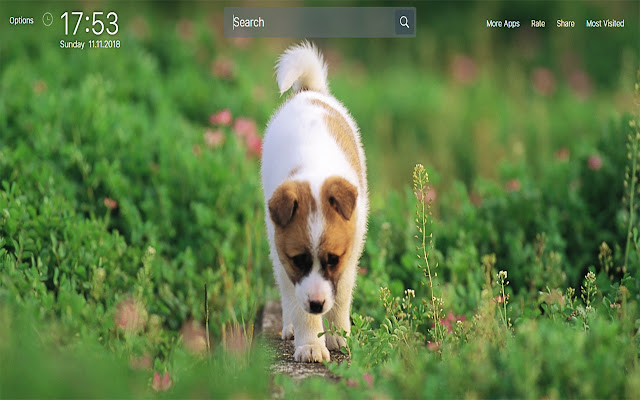 Puppy wallpapers New Tab