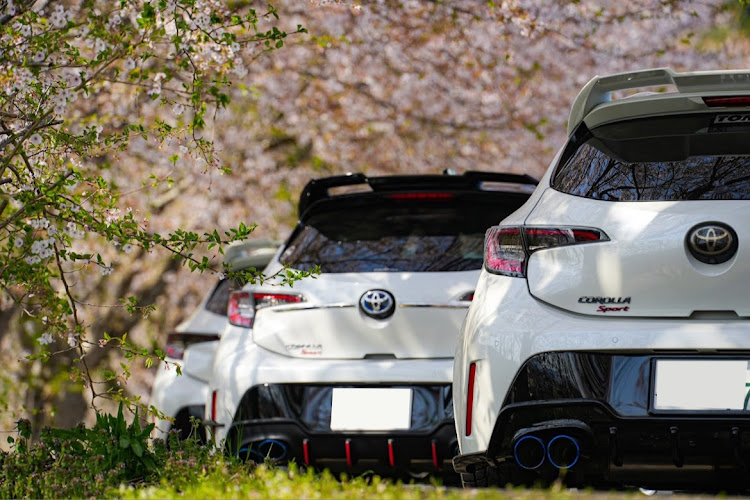 カローラスポーツの兵庫県豊岡市・ふらっとドライブ・桜とコラボに関するカスタム事例の投稿画像8枚目