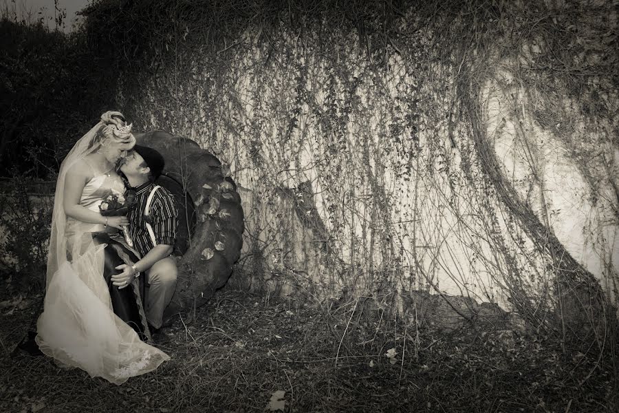 Hochzeitsfotograf Andre Oelofse (oelofse). Foto vom 3. Juli 2015