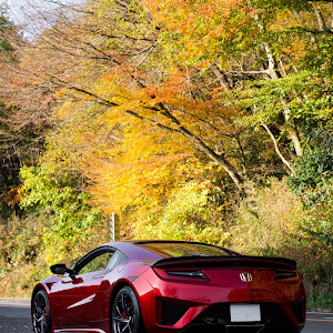 NSX NC1